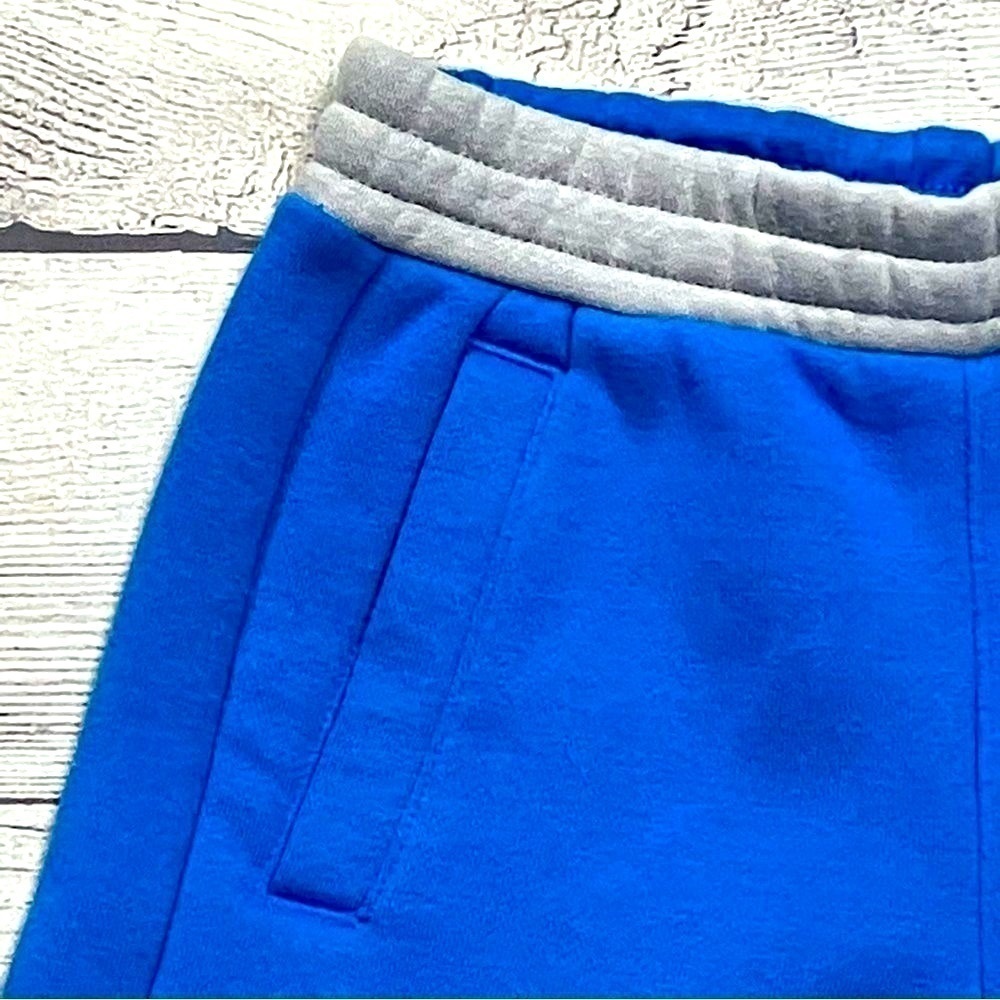 DSG Everyday Shorts Boy’s SZ 4-5 Cobalt Blue Drawstring Fleece Pockets Lined NEW - Picture 4 of 9